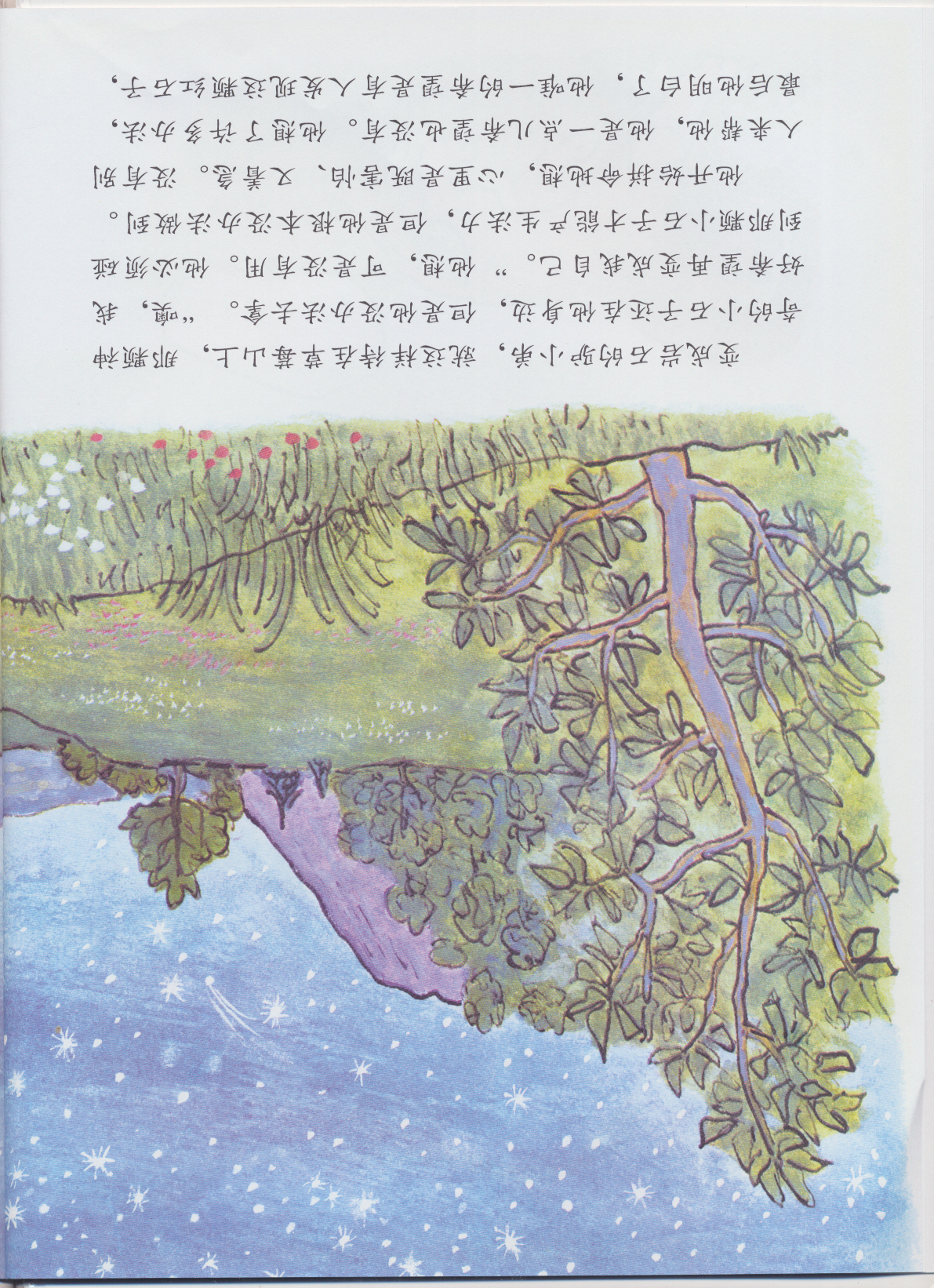 驴小弟变石头 (10),绘本,绘本故事,绘本阅读,故事书,童书,图画书,课外阅读